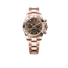 Daytona 40mm Everose Gold Chocolate Dial Mens Watch 126505-0005 New