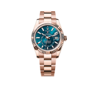 Sky-Dweller 42mm 18k Everose Gold Mens Watch 336935-0005