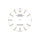 Datejust 41mm White Dial, Yellow Roleso 126333-0015