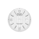 Land-Dweller 36 mm  Oystersteel White Gold M127334-0001