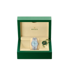 Land-Dweller Oyster 40mm Platinum & Diamonds Ice Blue Honeycomb Motif Dial M127386TBR-0001