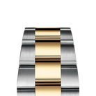 Explorer 36mm 18k Yellow Gold and Stainless steel (2024) 124273-0001